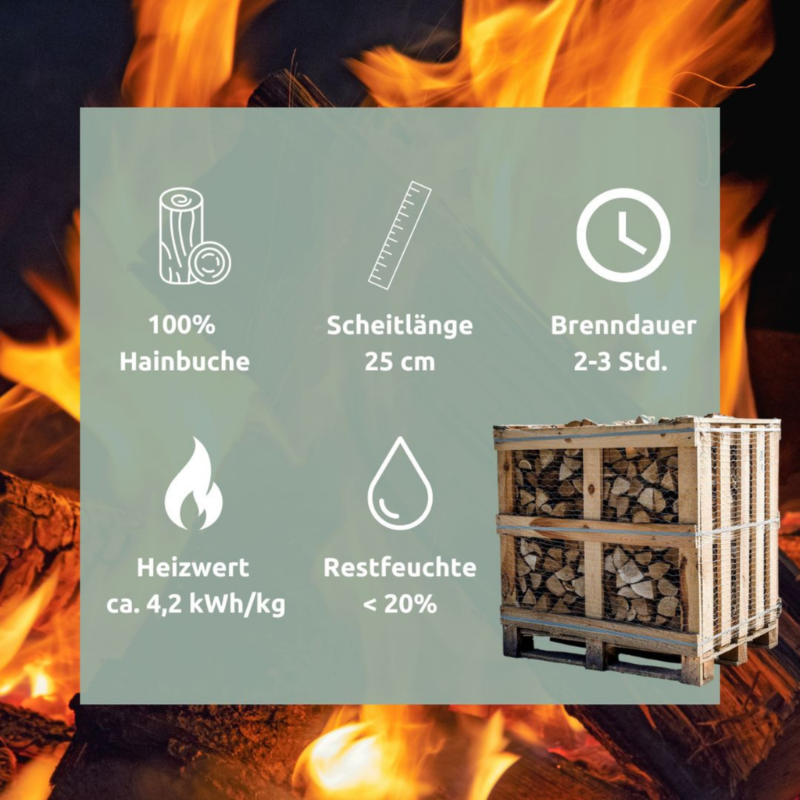 Hainbuchen Brennholz kammergetrocknet 25 cm – 1 RM / 1,6 SRM Kaminholz – Bild 2